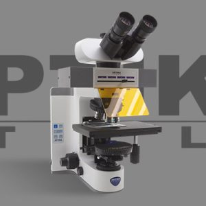 Fluorescence Microscope
