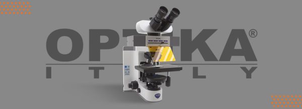 Fluorescence Microscope