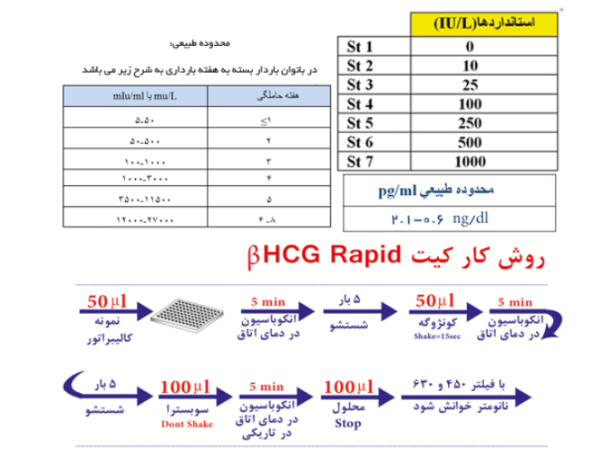 βHCG Rapid Elisa kit