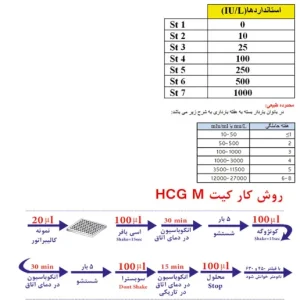 HCG M Elisa kit