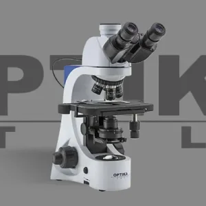 Bright Field Microscope