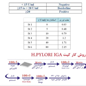 h.pylori IgA