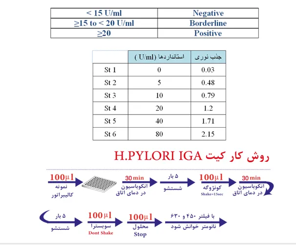 h.pylori IgA