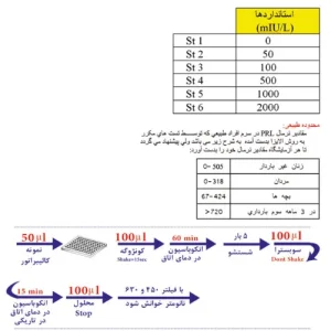 PRL Elisa kit
