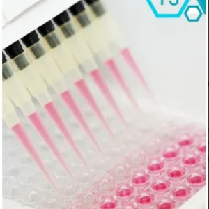 T3 Elisa Kit