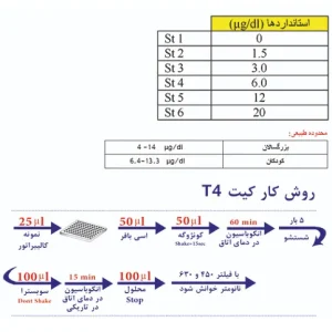 T4 Elisa Kit