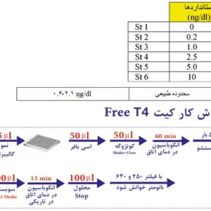 Free T4 Elisa Kit